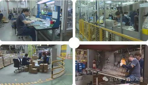 厲害了！儀征這家工廠，產品覆蓋30多個國家和地區